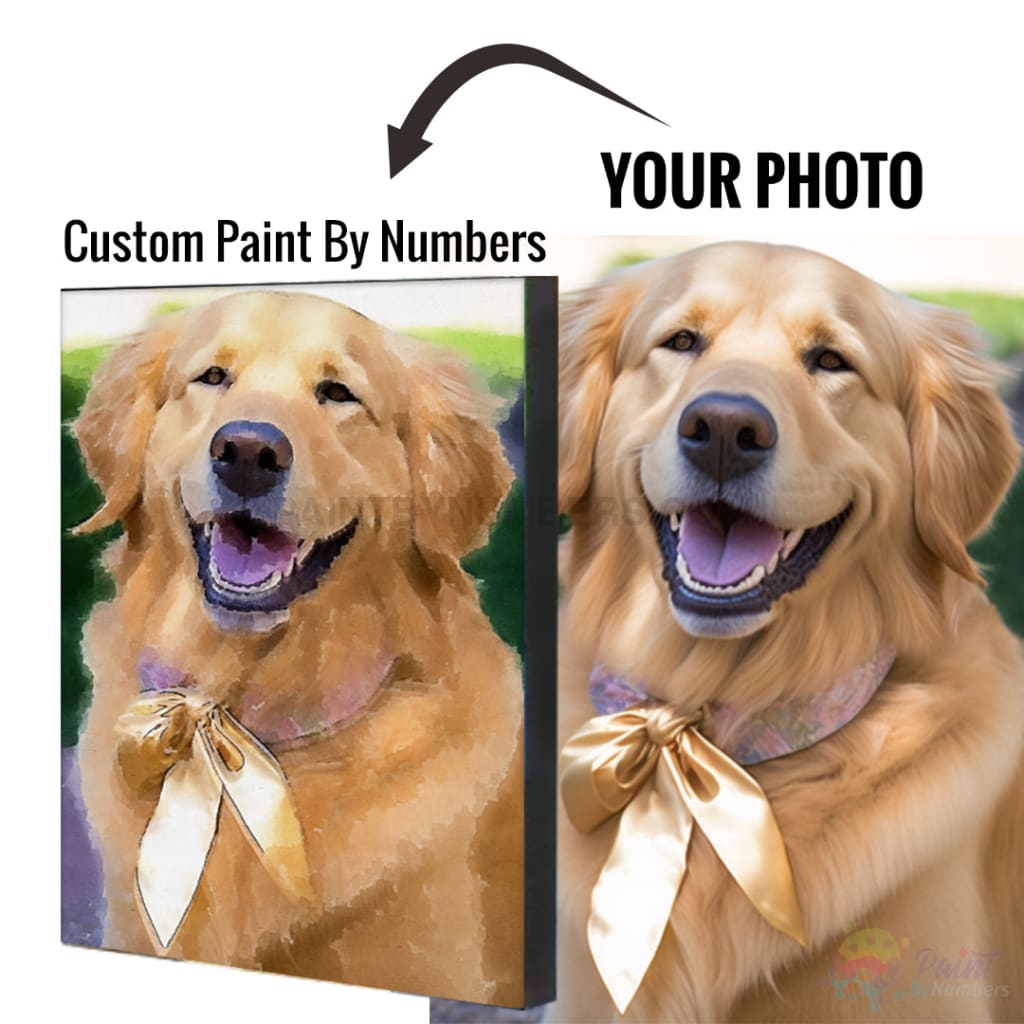 Dog Custom Paint By Numbers - Upload Your Photo Fully Framed 40X50Cm