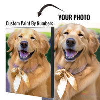 Thumbnail for Pet Custom Paint By Numbers - Upload Your Photo Fully Framed 40X50Cm