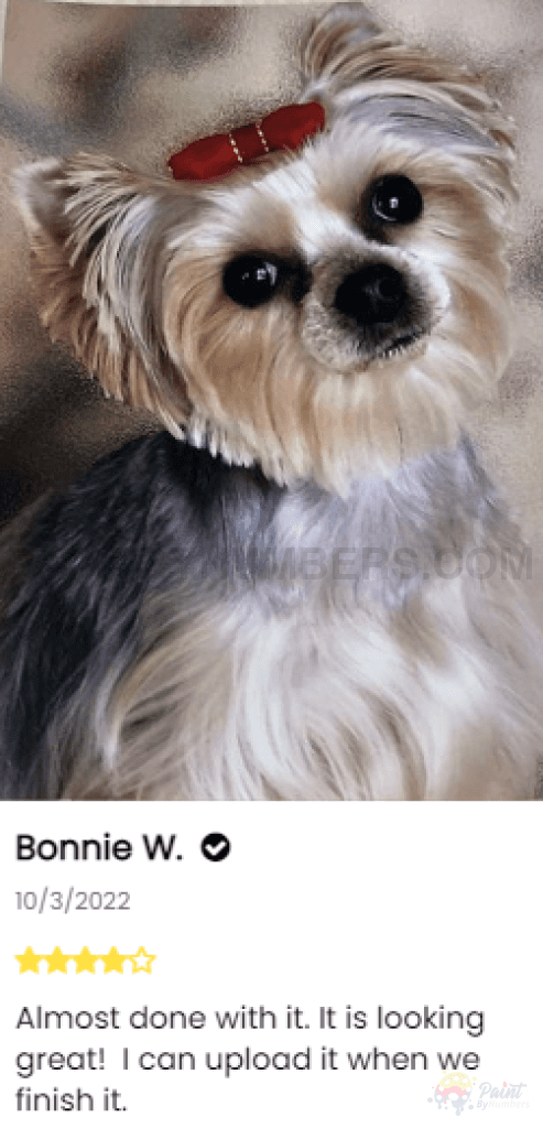Pet Custom Paint By Numbers - Upload Your Photo Fully Framed 40X50Cm