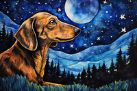 Thumbnail for Stargazing Dachshund