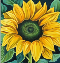 Thumbnail for A Close Up Of A Sunflower