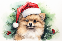 Thumbnail for Fluffy Christmas Pomeranian