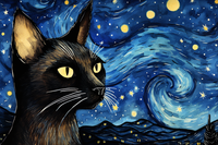 Thumbnail for Starry Night Siamese Cat  Paint by Numbers Kit