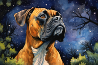 Thumbnail for Watercolor Starry Night Boxer