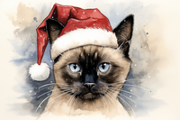 Thumbnail for Sassy Cat In Santa Hat