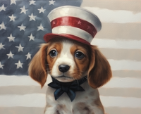 Thumbnail for Faded Glory And Sweet American Pup