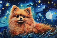 Thumbnail for Pomeranian And Starry Night   Paint by Numbers Kit