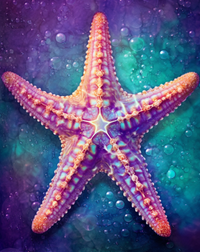 Thumbnail for Ready For A Hug Starfish