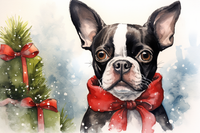 Thumbnail for Christmas Boston Terrier