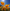Summer Sky And Golden Poppies