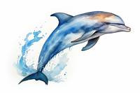 Thumbnail for Simple Blue Watercolor Dolphin  Paint by Numbers Kit