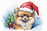 Thumbnail for Adorable Christmas Pomeranian
