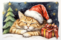 Thumbnail for Napping Christmas Kitty