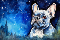 Thumbnail for Starry Night French Bulldog  Paint by Numbers Kit