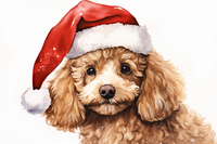 Thumbnail for Sweet Christmas Poodle