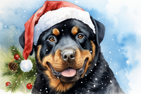 Thumbnail for Happy Christmas Rottweiler