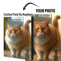 Thumbnail for Custom Paint By Numbers Personalized Photo 16X20In - 40X50Cm