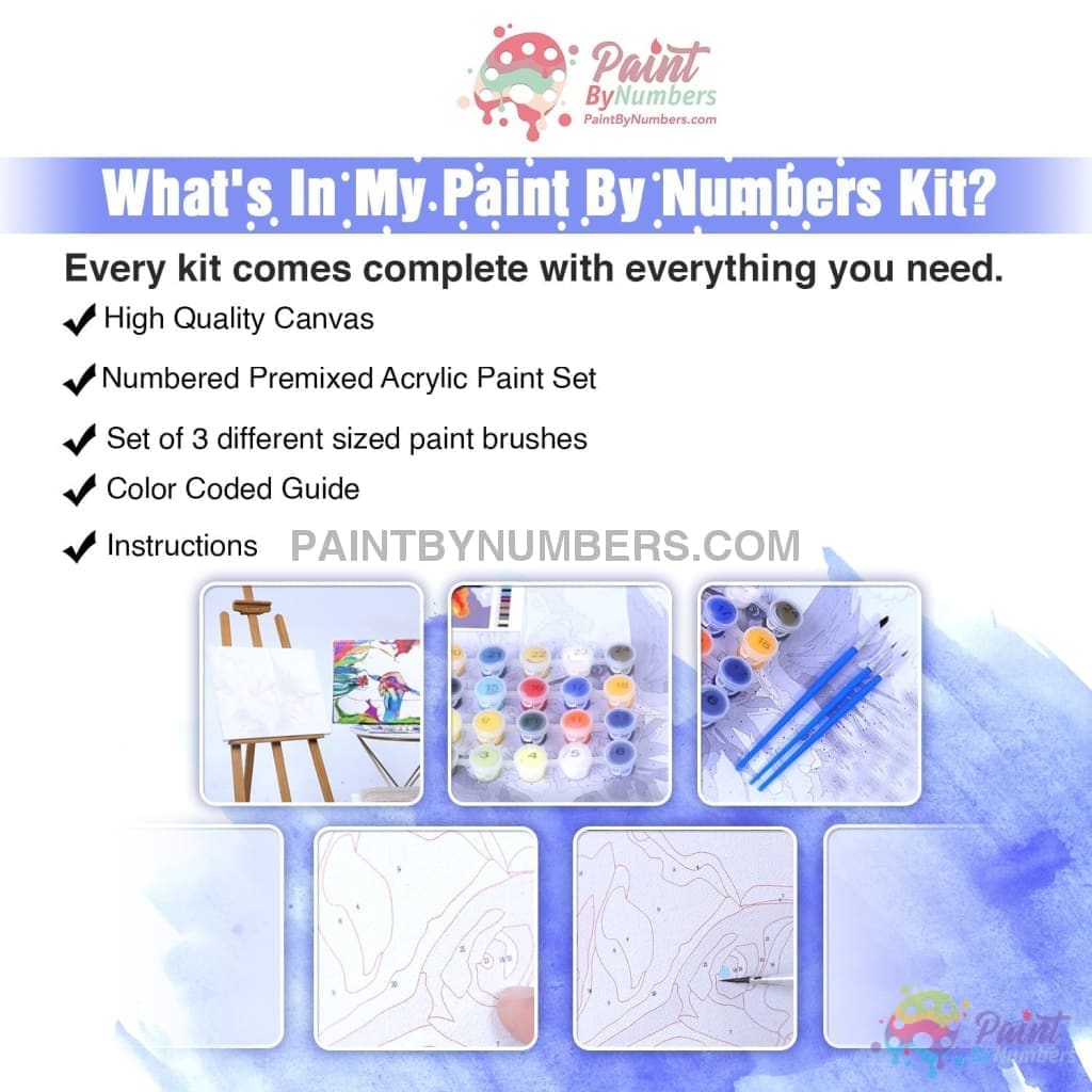 Liberty Paint by Numbers Kit