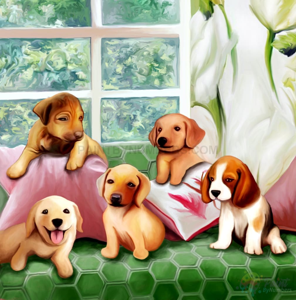 Adorable Puppies Paint By Numbers Kit For Adults