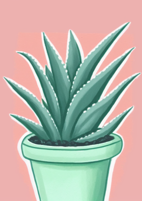 A Little Pot of Aloe