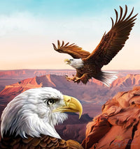 Thumbnail for America The Beautiful Eagle Paint By Numbers Kit For Adults