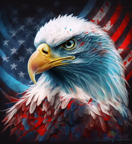 Eagle – Paint By Numbers