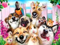 Thumbnail for Animal Party Paint By Numbers Kit