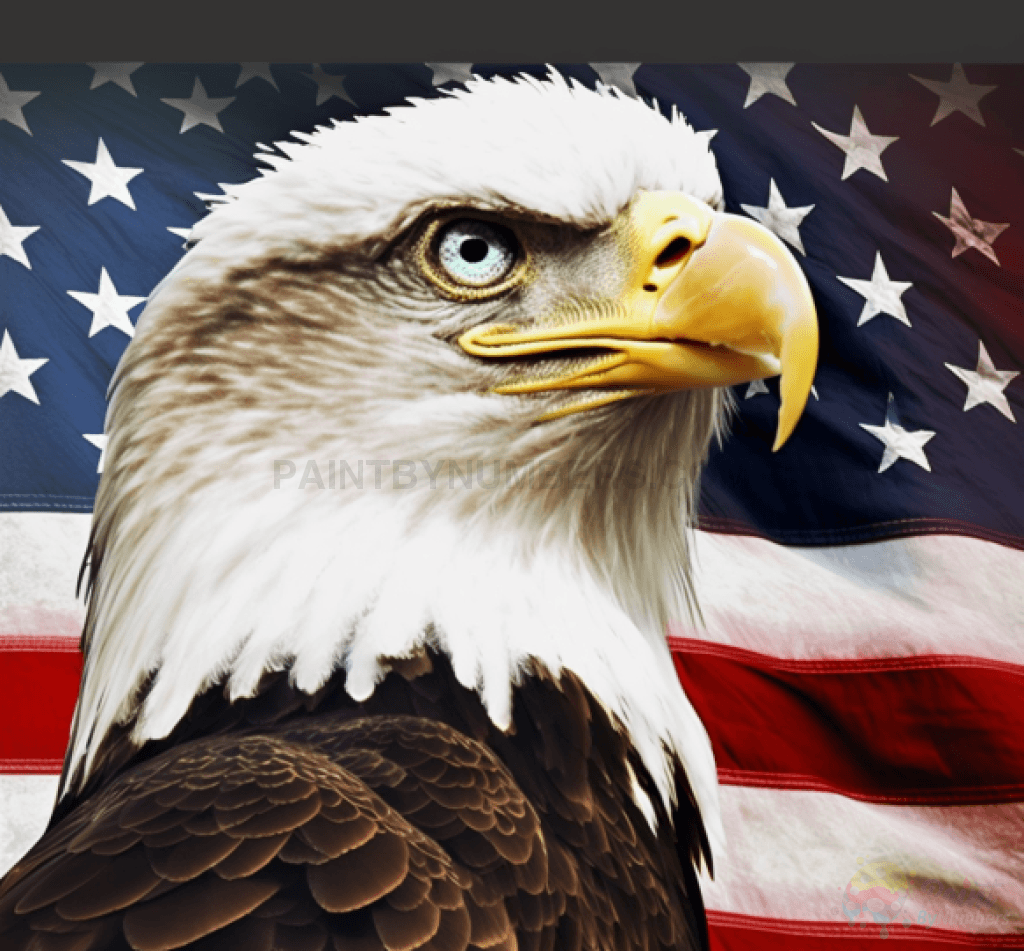 Bald Eagle Patriotic, image size:1024x951