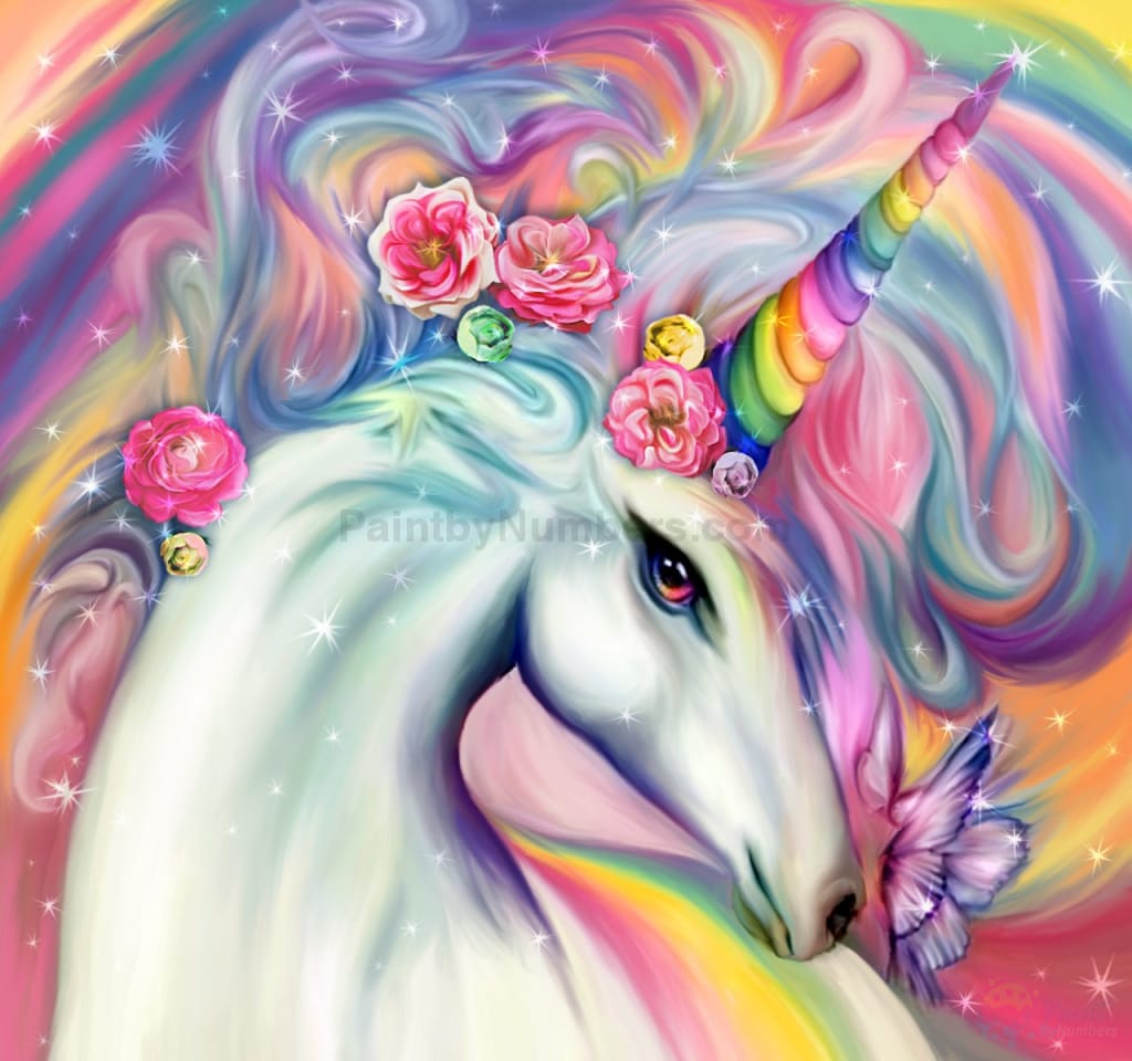 Colorful Unicorn Paint By Numbers Kit