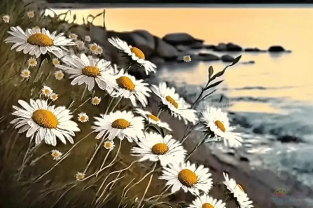 Daisy On The Shore Paint By Numbers Kit
