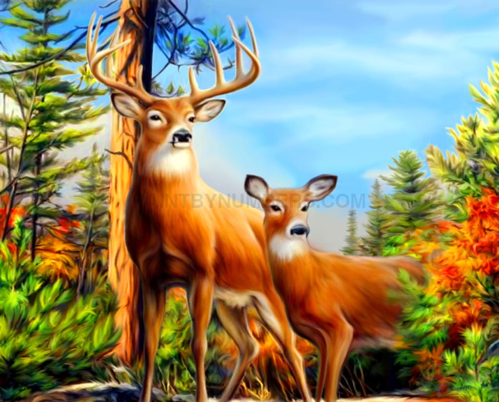 Deer At Play Paint By Numbers Kit