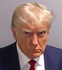 Thumbnail for Former President Donald J Trump Mugshot Paint By Numbers Kit