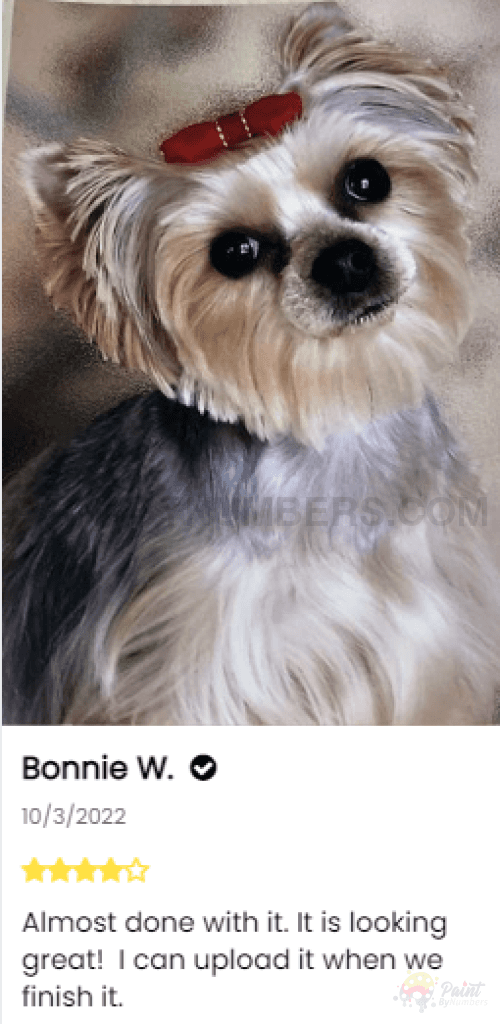 Dog Custom Paint By Numbers - Upload Your Photo Fully Framed 40X50Cm