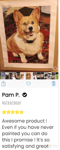 Thumbnail for Dog Custom Paint By Numbers - Upload Your Photo Fully Framed 40X50Cm