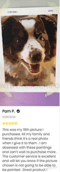 Thumbnail for Dog Custom Paint By Numbers - Upload Your Photo Fully Framed 40X50Cm