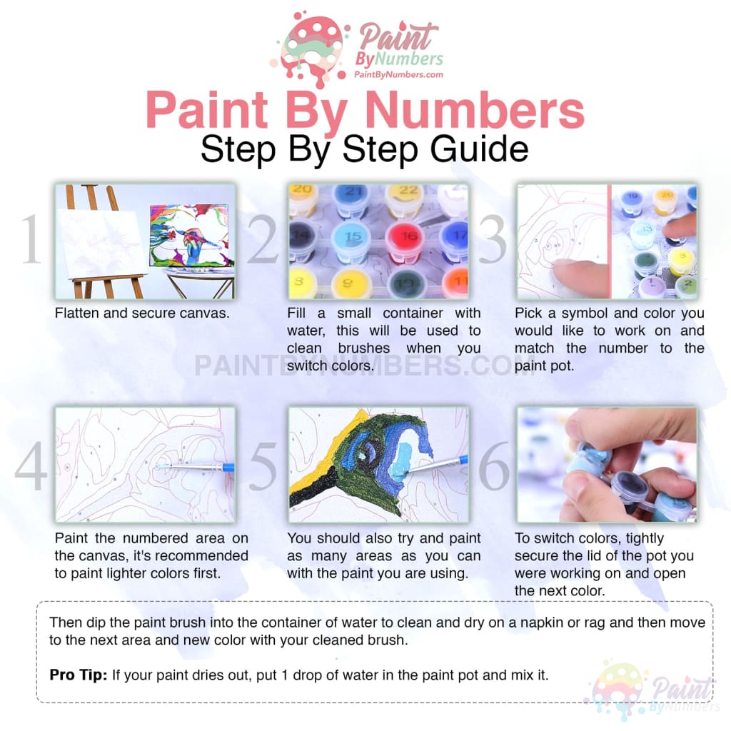 Eagle Moon Paint By Numbers Kit