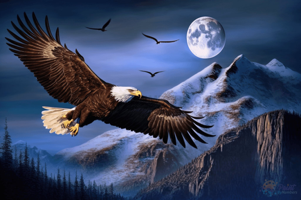 Eagle Moon Paint By Numbers Kit