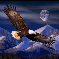 Thumbnail for Eagle Sky Paint By Numbers Kit