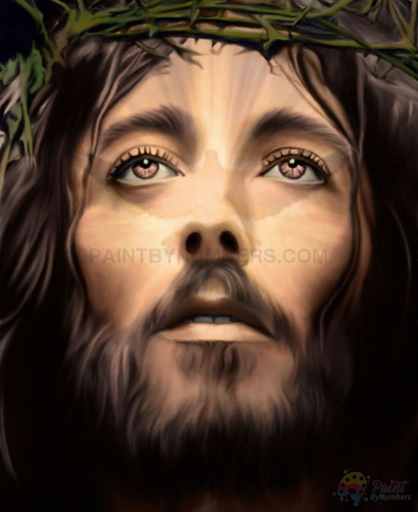 Face of Jesus Compete Paint By Numbers Kit for Adults