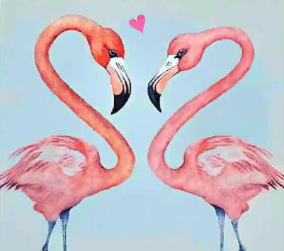 Flamingos In Love
