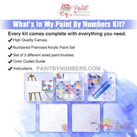 Thumbnail for America The Beautiful Bald Eagle Paint By Numbers Kit For Adults