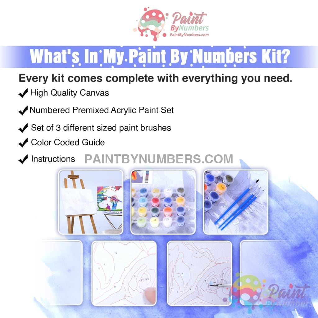 An Enchanted Rose Paint By Numbers Kit