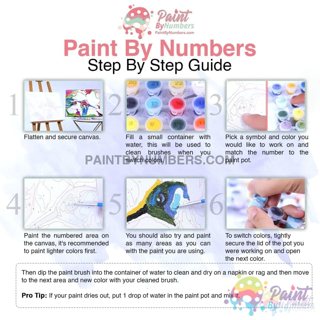 An Enchanted Rose Paint By Numbers Kit