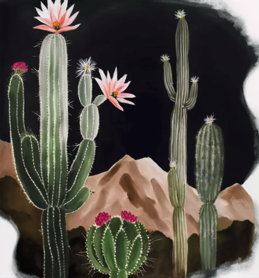 Good Night Desert Cactus