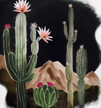 Thumbnail for Good Night Desert Cactus