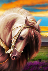 Thumbnail for Horse Love Paint By Numbers Kit