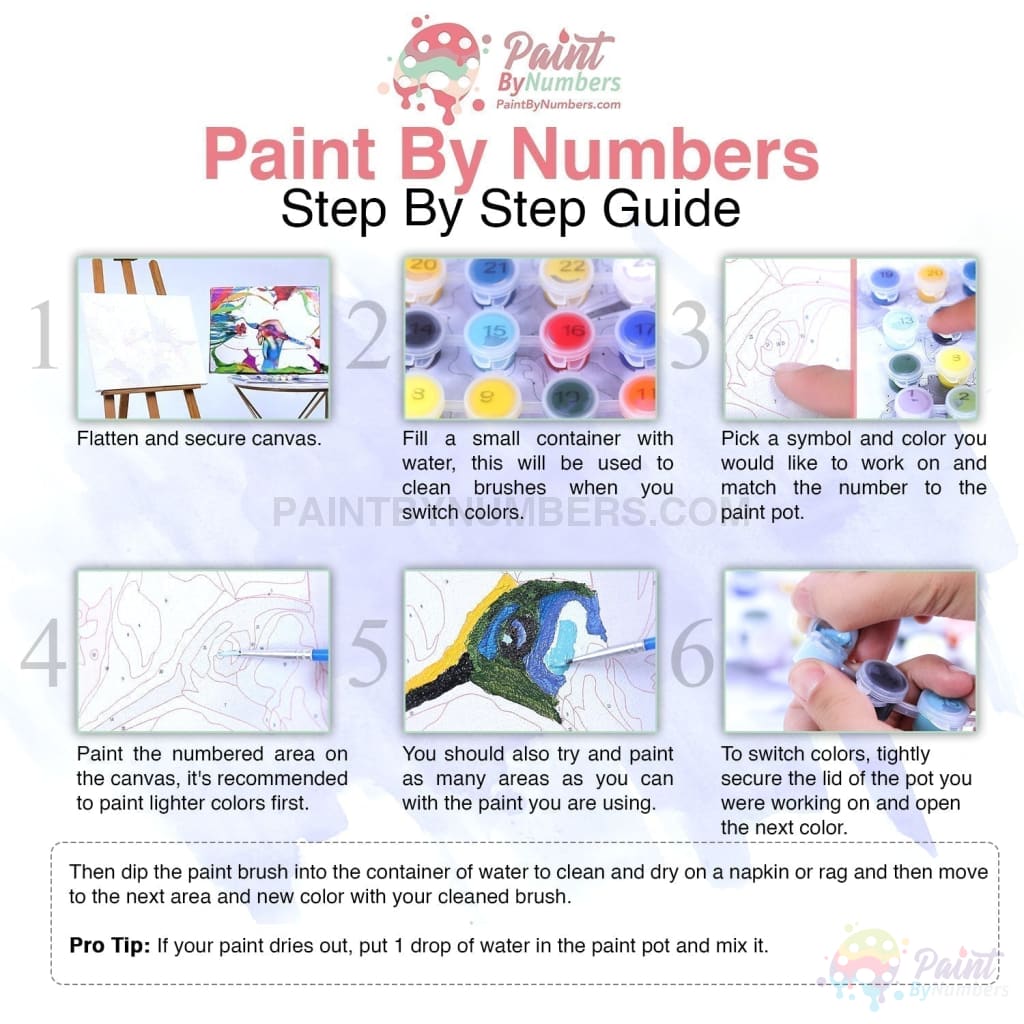 Humming Bird Spring Paint By Numbers Kit