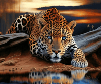 Thumbnail for Jaguar On The Plains Paint By Numbers Kit For Adults