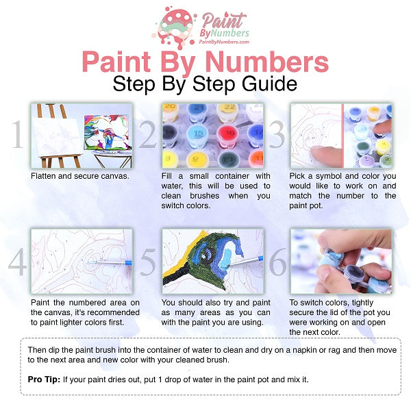 Custom Paint by Numbers Kit, Paint Your Photos, Personalized Paint