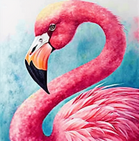 Thumbnail for Pretty Pink Feathery Flamingo